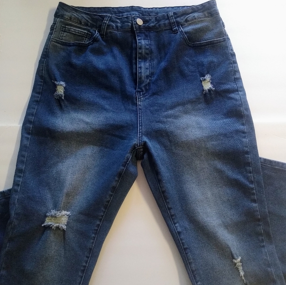 Plus size high waisted skinny jeans